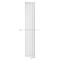 Arbiola Liner V 2000-36-06 секции белый вертикальный радиатор c нижним подключением
