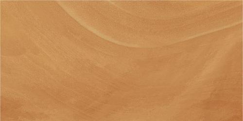 Ceracasa Ceramica Absolute Pulido Ambar 49,1x98,2 Напольная плитка